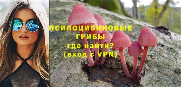 шишки Вязьма
