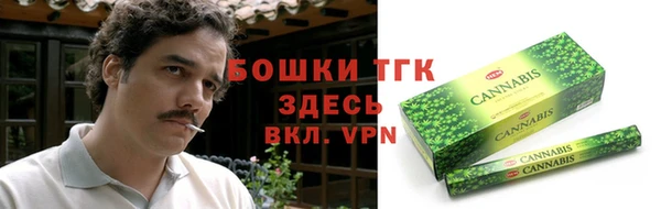шишки Вязьма