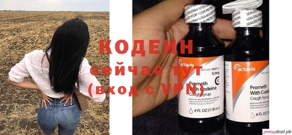 шишки Вязьма
