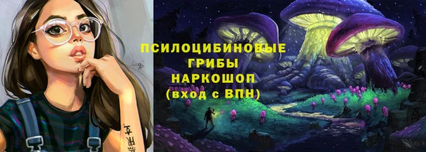 СК Вяземский