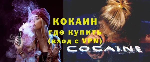 шишки Вязьма