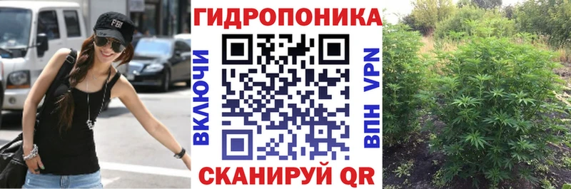 МАРИХУАНА Amnesia  Железногорск 